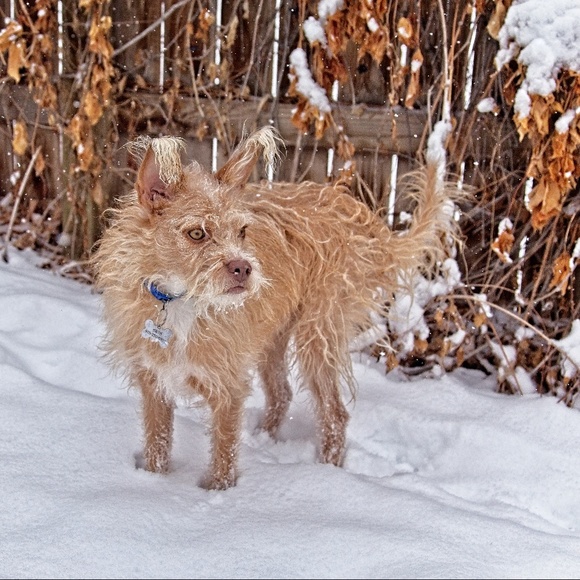 Meet your Posher, Jill - Picture 4 of 4